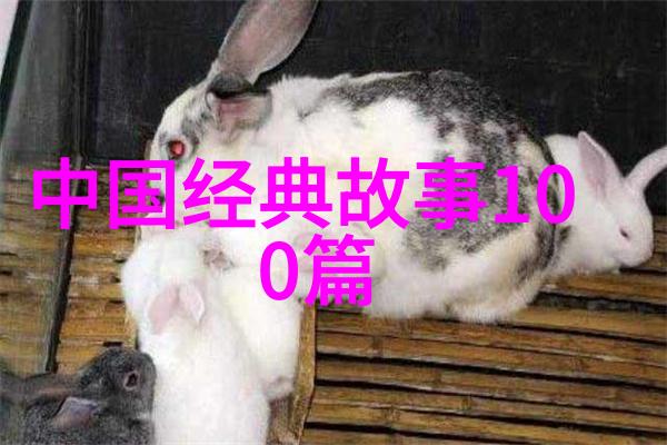 创世纪的画家莱昂纳多达芬奇艺术和科学的双重奏鸣者