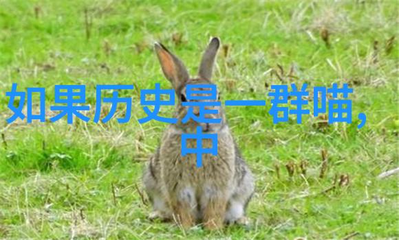 不想疼就把腿分到最大再打柔韧性训练与安全运动的重要性