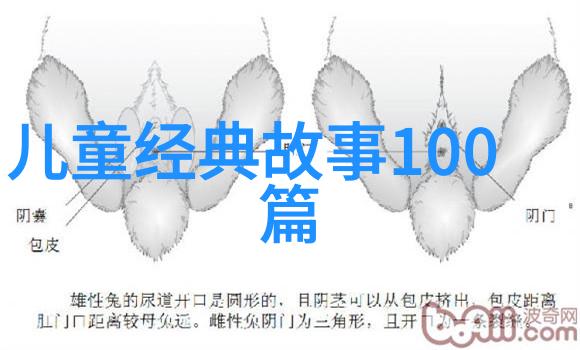 古代帝王的秘密爱好穿越时空的跳绳大会