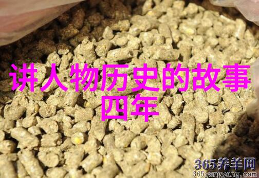 历史探秘揭秘专属历史学习App的创意故事