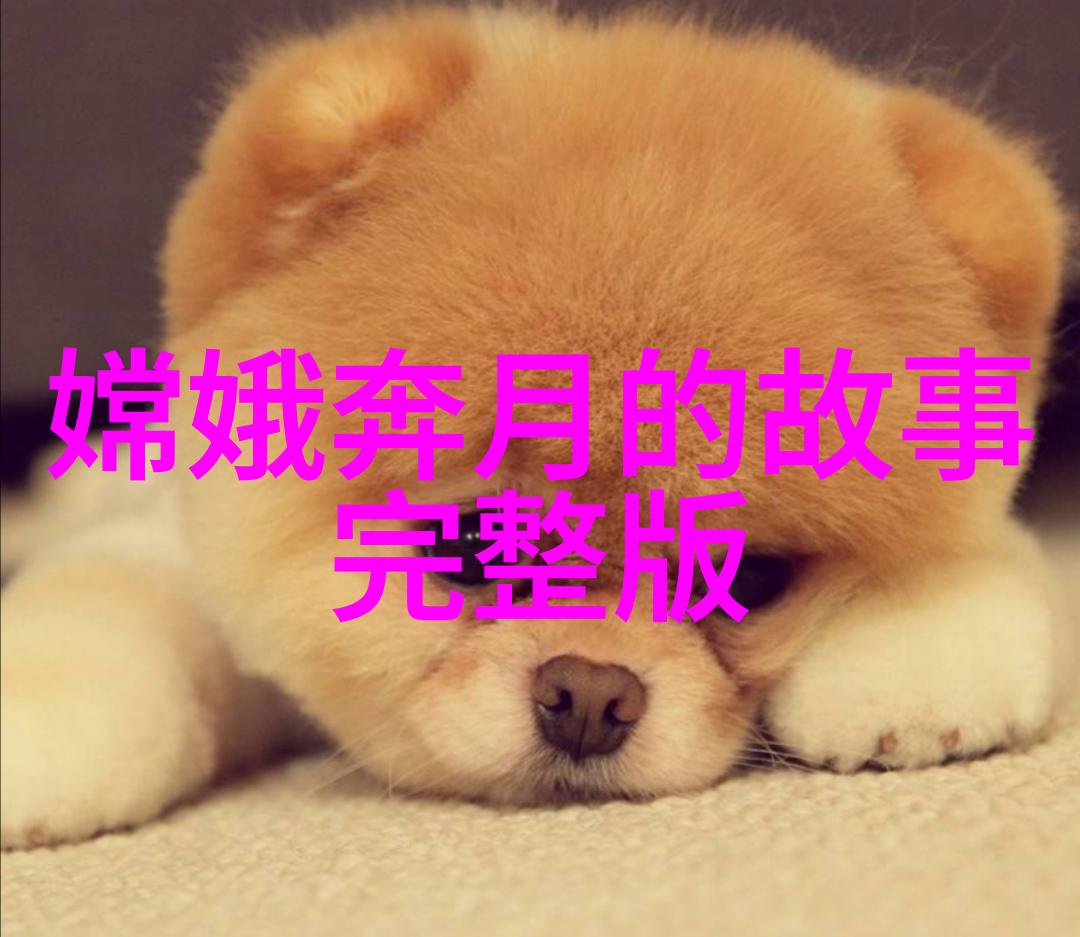 远古传说魔域之轮的诞生与消亡