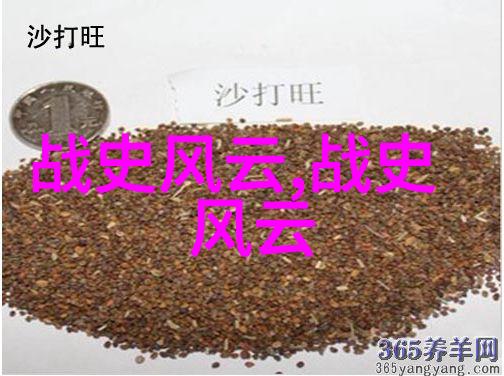 明代画家唐伯虎简介揭秘其在历史上的地位与艺术影响