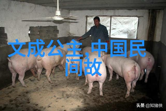 探索那些只在口传中流传的小众经典怪事