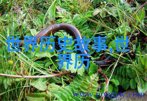 花铁Monkey的故事