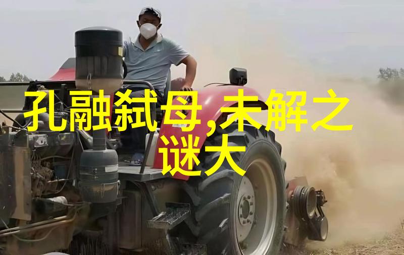 端午的故事龙舟竞渡与五谷丰登的传说