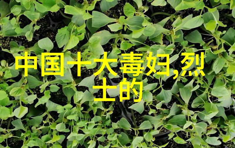 清朝十大奇案揭秘12位皇帝死于非命的真相