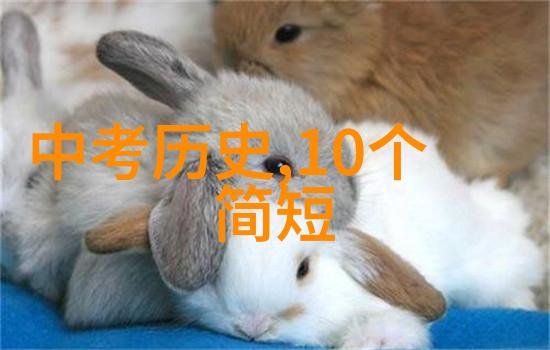 家居装修设计风格搭配图解图片