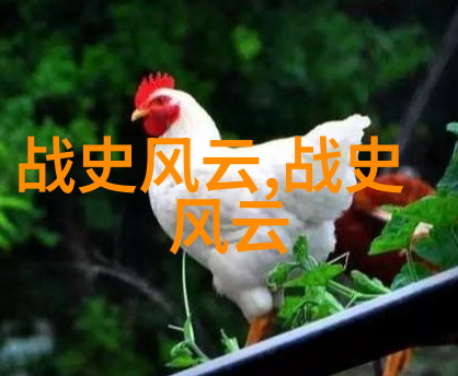 文化交流中的桥梁马可波罗去中国又学了什么