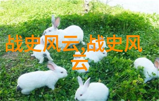 元朝的边界探索其在中国历史中的地位与认同