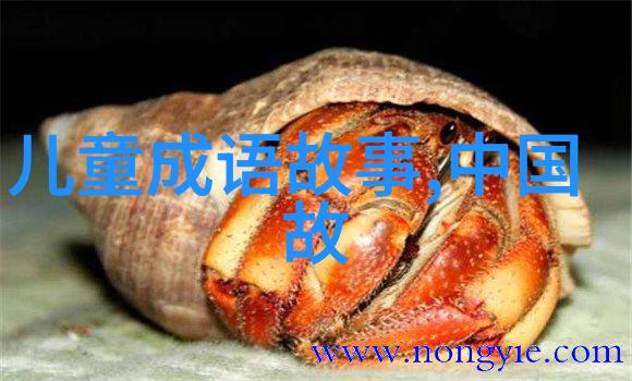 最诡异的朝代明朝背后的越南之谜