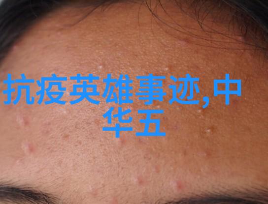 少年的梦想十七岁日本BD免费高清版