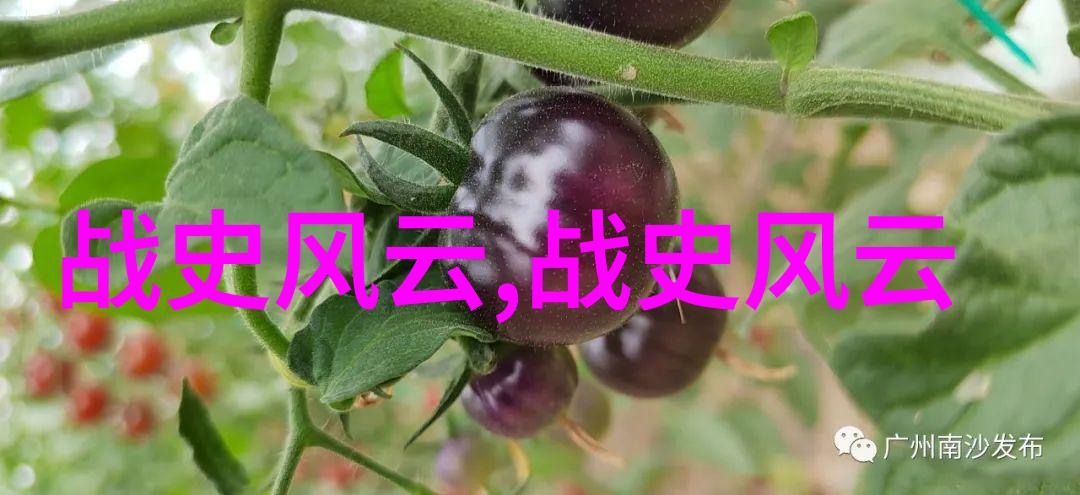 历史上的奇迹与灾难揭秘那些震撼世界的故事