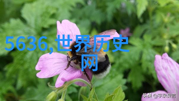 中华上下五千年李自成闯关中原黄继光在此战役中英勇牺牲