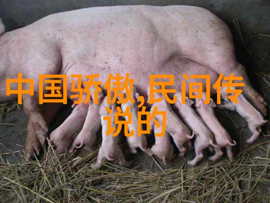 石家庄市教科研网的吴青云像星辰般璀璨而吴青云则是这片天空中最耀眼的那颗星