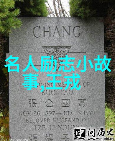 赵兵伟演绎河南豫剧全场戏激情洋溢的表演赢得了观众的一致好评