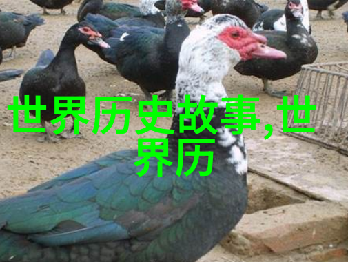 中国民间故事木棉庵中的世界史秘密