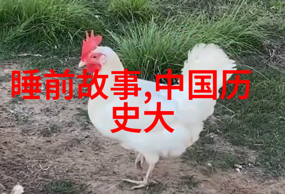 三国演义中的智勇双全关羽的故事探究