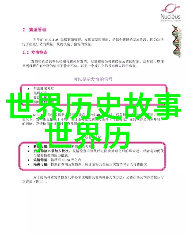 梦幻童年儿童睡前童话的魔法世界