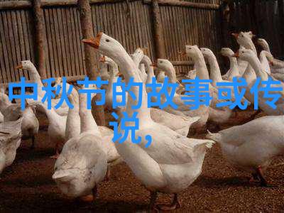 神话绘卷中国古老传说之诗篇