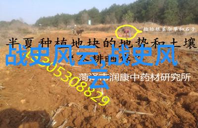 古今传说汇编探秘中华文化典故故事