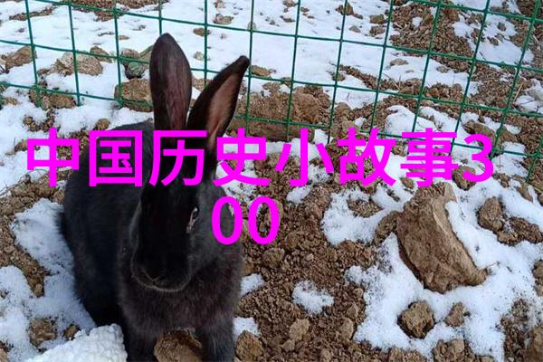 纳牙阿东汉名将刘备的智谋与勇敢