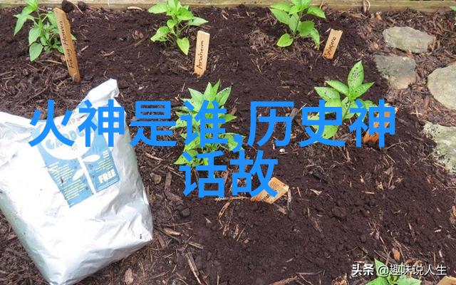 黄梅戏大全高清吴红军真的只是一个演员吗