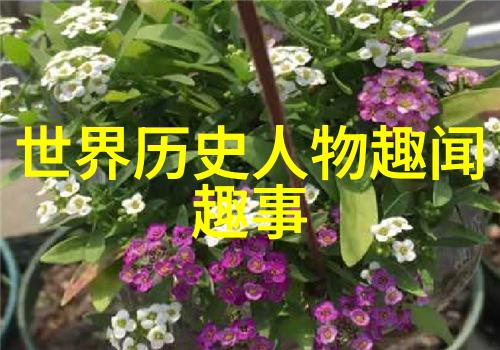 樊忠亲人接灯明朝名将的物品故事14001449年