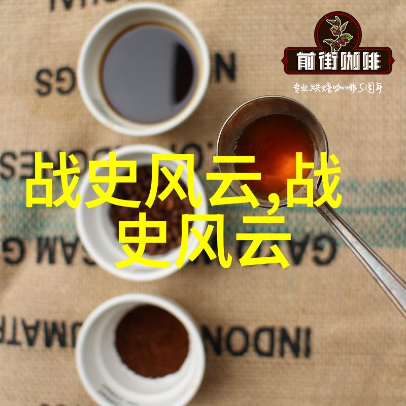 从奴隶到统帅拿破仑崛起与辉煌战役回顾