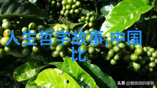 历史的奇闻趣事珍妃坠井之谜自愿投井抑或他杀