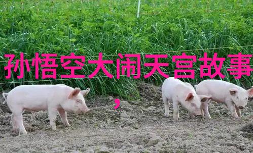星光闪耀人气歌手排行榜