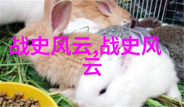宋江义不容辞