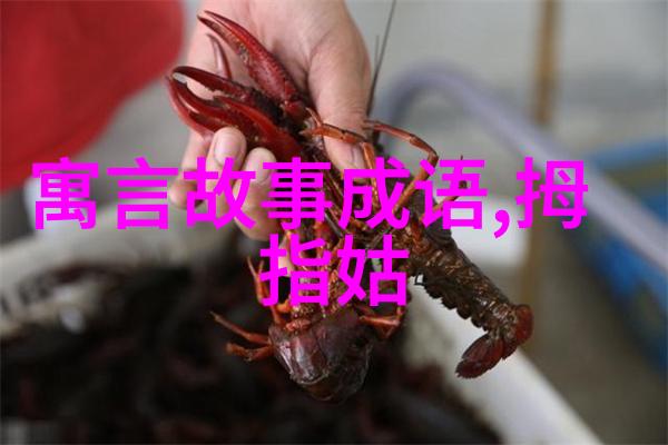 东方传媒大门一二三区进站口的故事