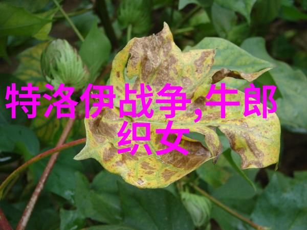 在清末民初有没有一些隐世的人物他们在幕后影响了国家大事他们是谁呢
