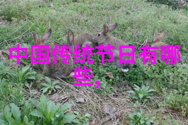 坐在叔叔那里写作业我在叔叔那儿做作业的日子