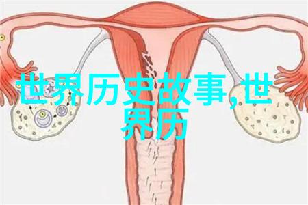 在中国历代王朝一览表中明朝又设立了哪三卫于东北地区