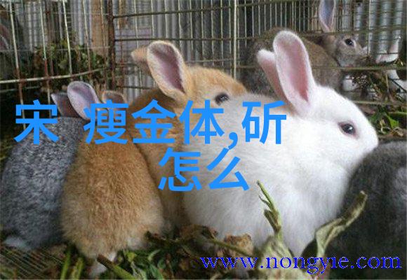 医生的指挥与患者的信任手术台上的风云变幻