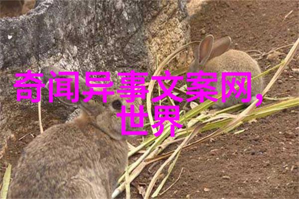 赵恒大宋王朝第三位皇帝揭秘宋朝帽妖案背后的权力斗争