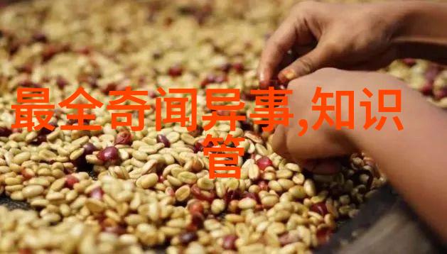 曾经存在过但已消失的地球上最大的生物群落迷失的大陆