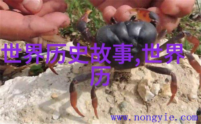 忽必烈对艺术与科技的贡献他的时代留下了哪些遗产