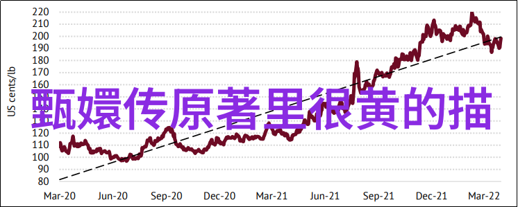 龙腾虎跃中国古代历史上的奇迹与悲剧