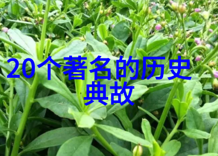 李加成京剧票友探索网红时代的演义专访李胜素