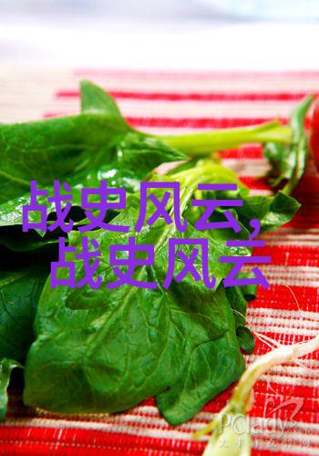 明朝世系考揭秘皇帝顺序表及家族关系的复杂网络