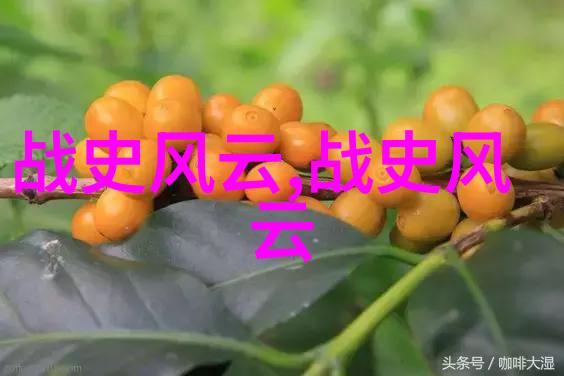 太平天国运动农民起义与梦想的破灭