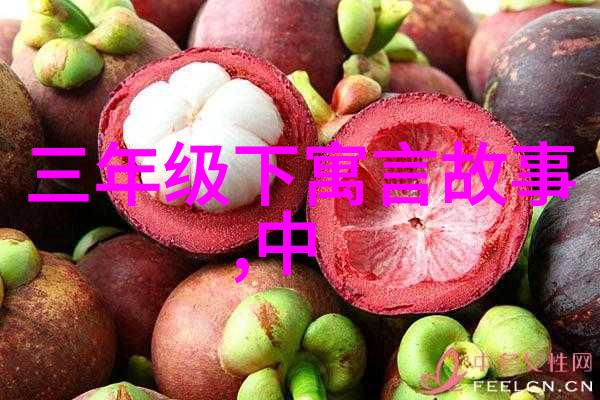 探秘40种精彩瞬间图片背后的故事与创意