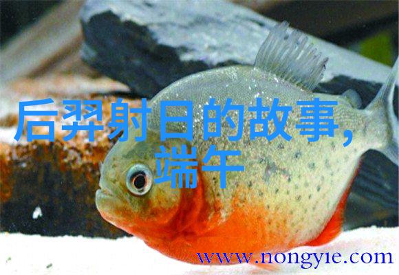 河南豫剧红脸王专场陈宪章豫剧导演与剧作者的双重角色反复诠释其艺术魂
