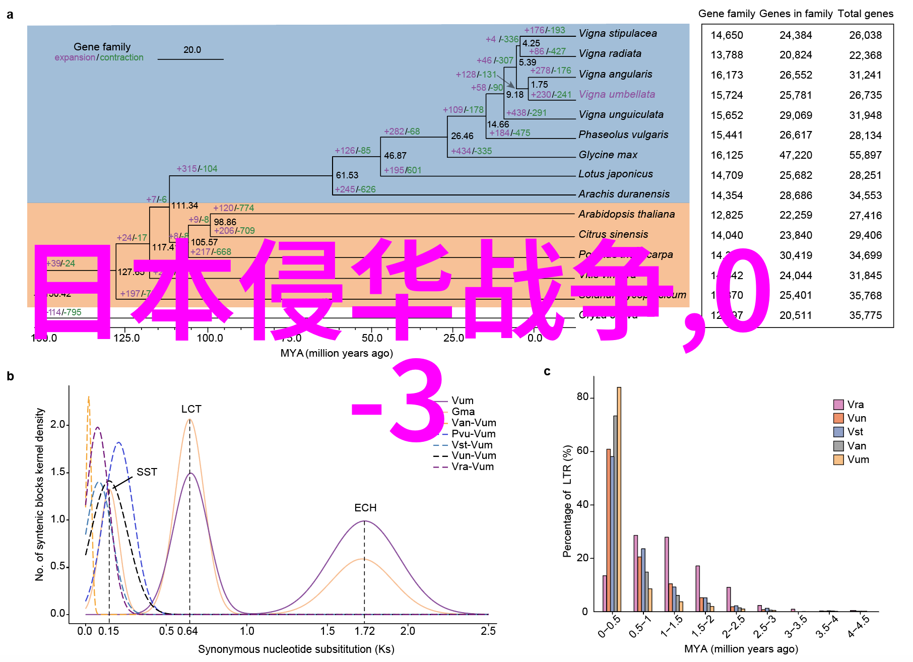 民间故事奇闻异事素材我亲眼见过的村口鬼吹胡笙