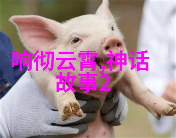 超越现实跨入梦境深度剖析每一个在百年里闪耀的心灵宝石