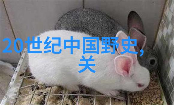 70年代老恐怖片 - 阴影中的诱惑70年代经典恐怖电影的迷人魅力
