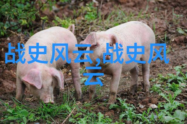 许桂枝黄梅戏旦行演员以其深情的歌喉和精湛的舞台表现在黄梅戏世界中留下了浓墨重彩的一笔