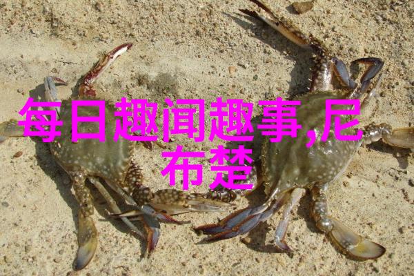 中国经典历史故事精选金牛与牵牛花的传说